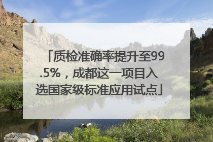 质检准确率提升至99.5%，成都这一项目入选国家级标准应用试点