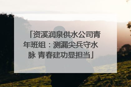 资溪润泉供水公司青年班组：测漏尖兵守水脉 青春建功显担当