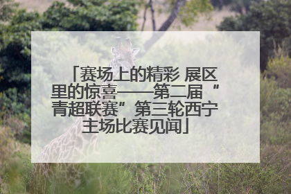 赛场上的精彩 展区里的惊喜——第二届“青超联赛”第三轮西宁主场比赛见闻