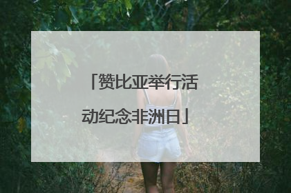 赞比亚举行活动纪念非洲日