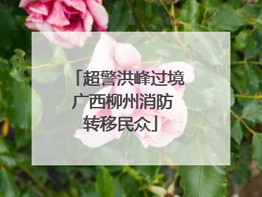 超警洪峰过境 广西柳州消防转移民众