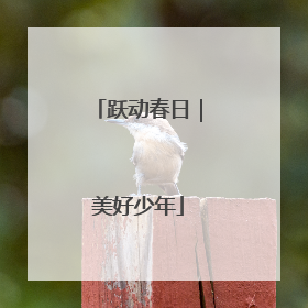 跃动春日｜美好少年