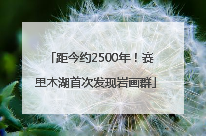 距今约2500年！赛里木湖首次发现岩画群