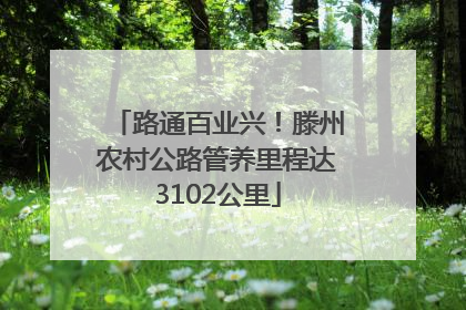 路通百业兴！滕州农村公路管养里程达3102公里