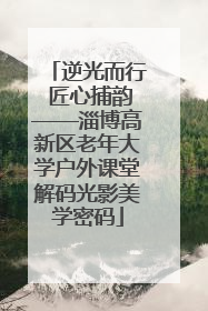 逆光而行 匠心捕韵——淄博高新区老年大学户外课堂解码光影美学密码