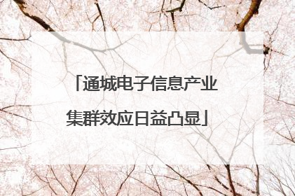 通城电子信息产业集群效应日益凸显