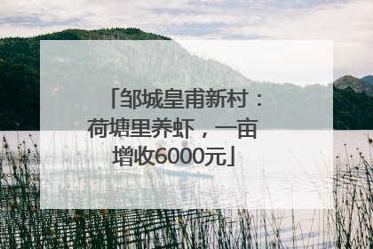 邹城皇甫新村：荷塘里养虾，一亩增收6000元