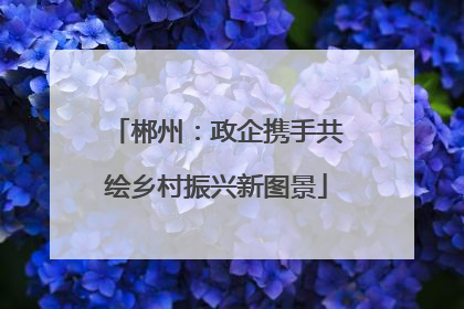 郴州：政企携手共绘乡村振兴新图景