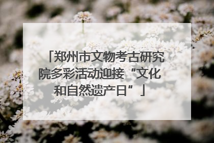 郑州市文物考古研究院多彩活动迎接“文化和自然遗产日”