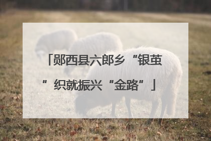 郧西县六郎乡“银茧”织就振兴“金路”