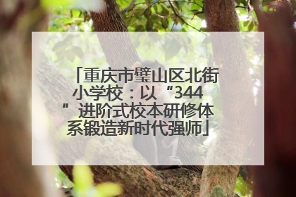 重庆市璧山区北街小学校：以“344”进阶式校本研修体系锻造新时代强师