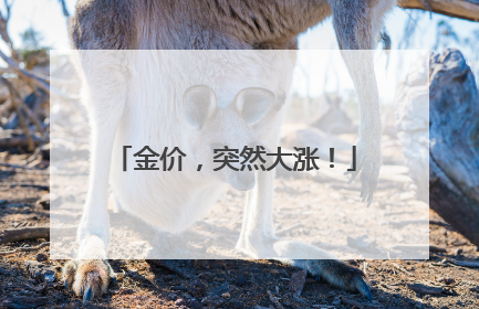 金价，突然大涨！