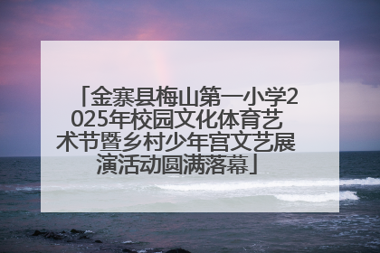 金寨县梅山第一小学2025年校园文化体育艺术节暨乡村少年宫文艺展演活动圆满落幕