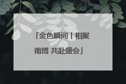 金色瞬间丨相聚南博 共赴盛会
