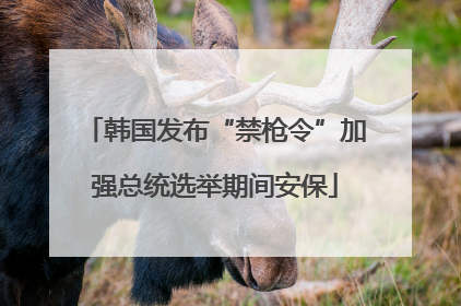 韩国发布“禁枪令”加强总统选举期间安保