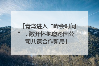 青岛进入“峰会时间”，敞开怀抱邀跨国公司共谋合作新局
