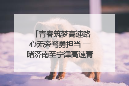 青春筑梦高速路 心无旁骛勇担当 一睹济南至宁津高速青年的young子