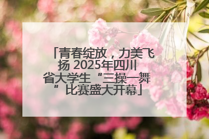 青春绽放，力美飞扬 2025年四川省大学生“三操一舞”比赛盛大开幕