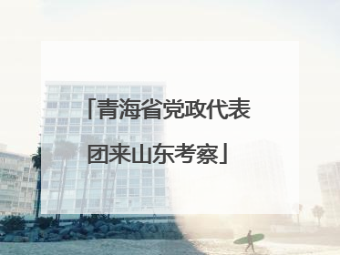 青海省党政代表团来山东考察