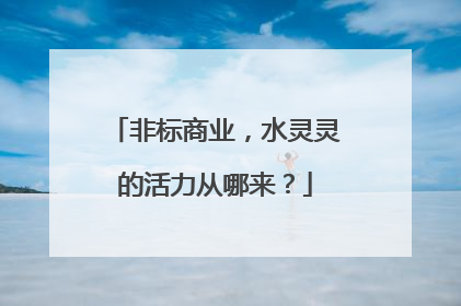 非标商业，水灵灵的活力从哪来？