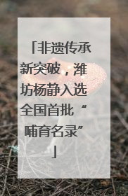 非遗传承新突破，潍坊杨静入选全国首批“哺育名录”