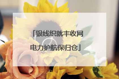 银线织就丰收网 电力护航保归仓