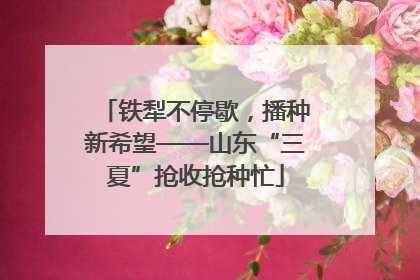 铁犁不停歇，播种新希望——山东“三夏”抢收抢种忙