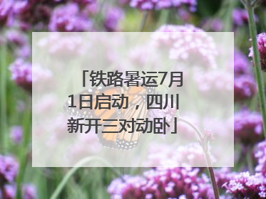 铁路暑运7月1日启动，四川新开三对动卧