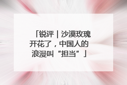 锐评｜沙漠玫瑰开花了，中国人的浪漫叫“担当”