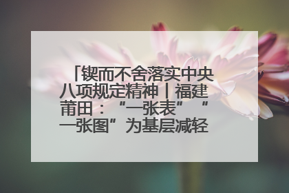 锲而不舍落实中央八项规定精神丨福建莆田：“一张表”“一张图”为基层减轻“数字负担”