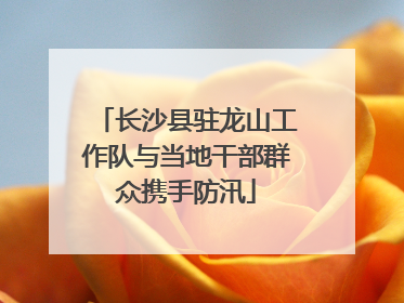 长沙县驻龙山工作队与当地干部群众携手防汛