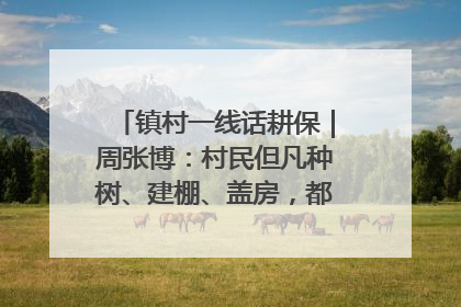 镇村一线话耕保｜周张博：村民但凡种树、建棚、盖房，都要向街道报批