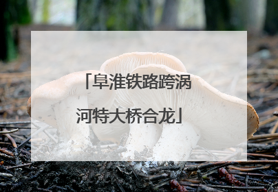阜淮铁路跨涡河特大桥合龙