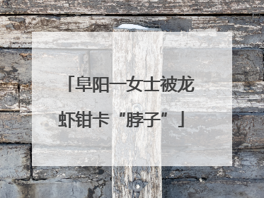 阜阳一女士被龙虾钳卡“脖子”