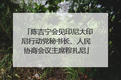 陈吉宁会见印尼大印尼行动党秘书长、人民协商会议主席穆扎尼