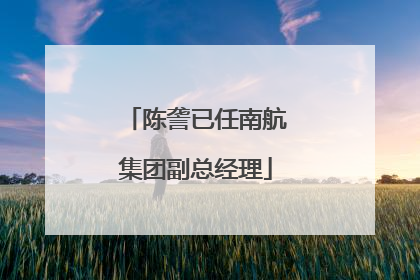 陈詟已任南航集团副总经理