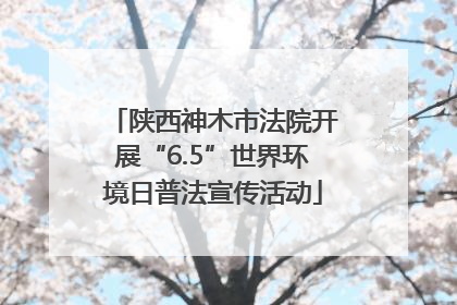 陕西神木市法院开展“6.5”世界环境日普法宣传活动