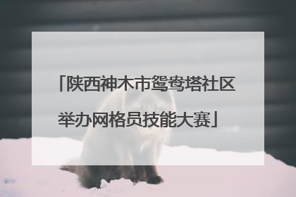 陕西神木市鸳鸯塔社区举办网格员技能大赛
