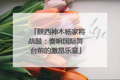 陕西神木杨家将战鼓：奏响国际舞台前的激昂乐章