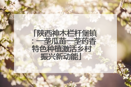 陕西神木栏杆堡镇：一垄瓜苗一垄药香 特色种植激活乡村振兴新动能
