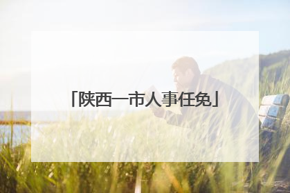陕西一市人事任免