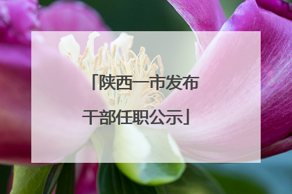 陕西一市发布干部任职公示
