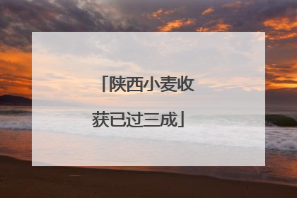 陕西小麦收获已过三成