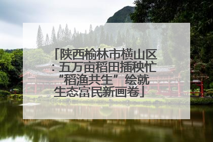 陕西榆林市横山区：五万亩稻田插秧忙 “稻渔共生”绘就生态富民新画卷