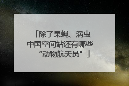 除了果蝇、涡虫 中国空间站还有哪些“动物航天员”