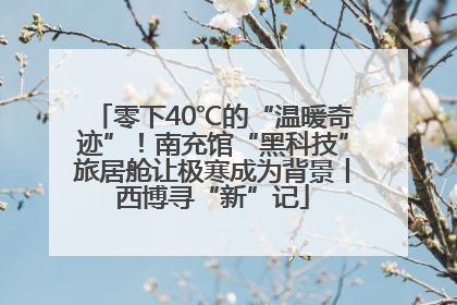 零下40℃的“温暖奇迹”！南充馆“黑科技”旅居舱让极寒成为背景丨西博寻“新”记