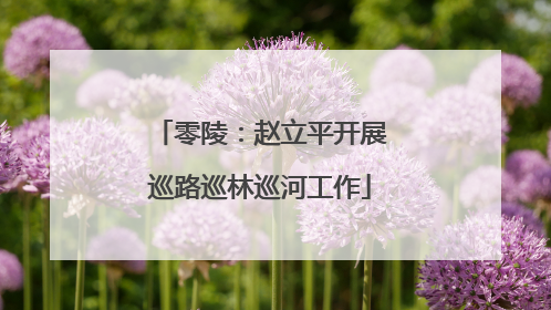 零陵：赵立平开展巡路巡林巡河工作