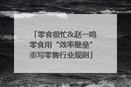 零食很忙&赵一鸣零食用“效率壁垒”重写零售行业规则