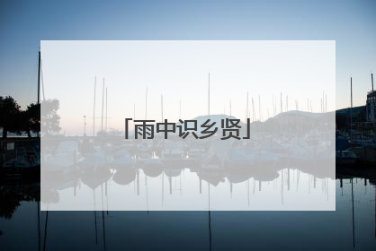 雨中识乡贤