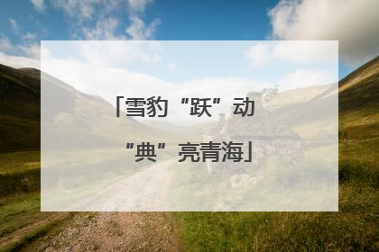 雪豹“跃”动 “典”亮青海